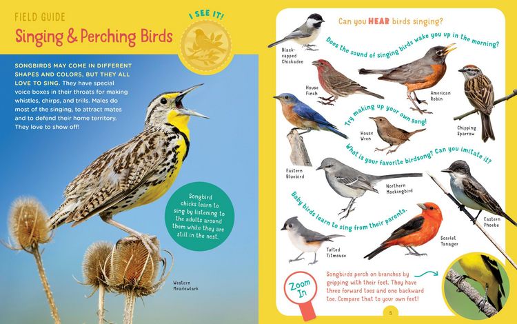 Produktbild: Backpack Explorer: Bird Watch