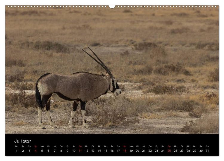 Produktbild: Wundersch&ouml;nes Namibia (Wandkalender 2027 DIN A2 quer), CALVENDO Monatskalender