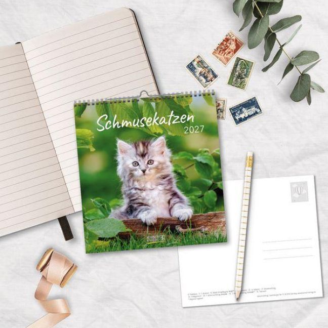 Produktbild: Schmusekatzen 2027