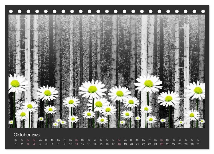 Produktbild: Schwarzwald. Anders. (Tischkalender 2026 DIN A5 quer), CALVENDO Monatskalender
