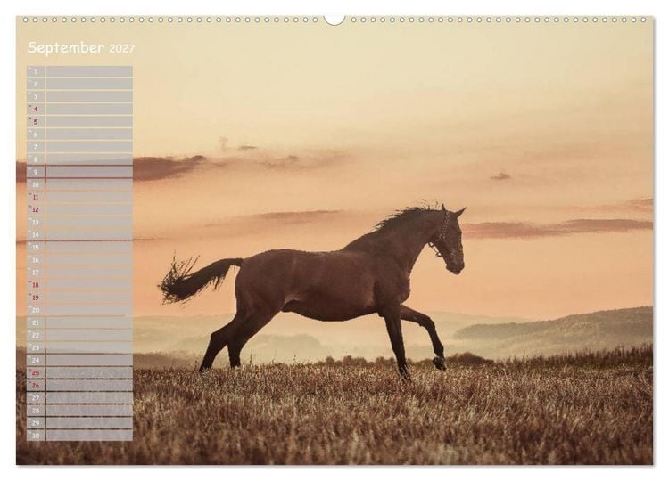 Produktbild: Pferde - Spiegel deiner Seele (Wandkalender 2027 DIN A2 quer), CALVENDO Monatskalender