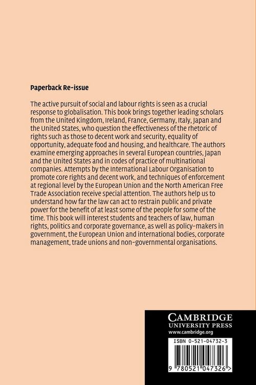 Produktbild: Social and Labour Rights in a Global Context