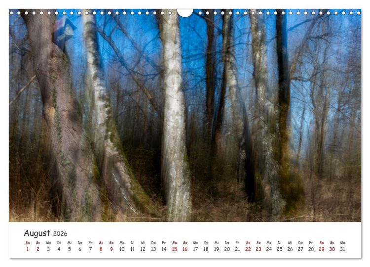 Produktbild: Abstrakte Naturerlebnisse - ICM (Intentional Camera Movement) Fotografie (Wandkalender 2026 DIN A3 quer), CALVENDO Monatskalender