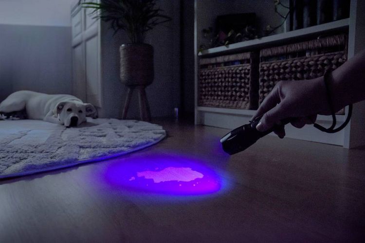 Produktbild: Ansmann Action 400 UV LED, UV-Lampe Taschenlampe batteriebetrieben 100 lm 27 h
