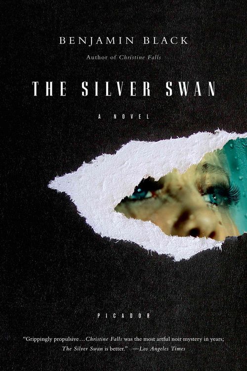 Produktbild: Silver Swan