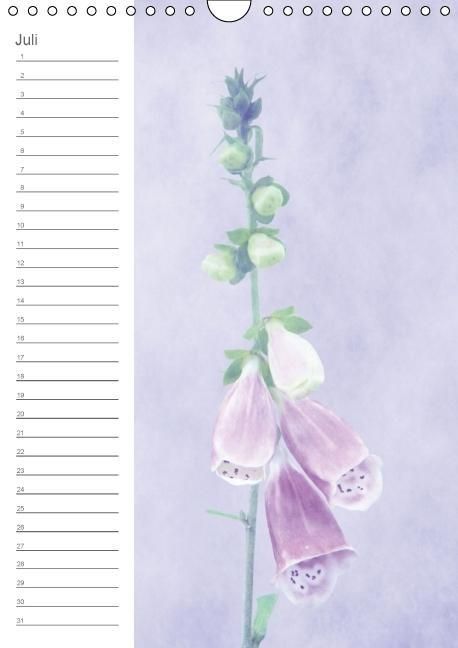Produktbild: Zarte Bl&uuml;ten / Geburtstagskalender (Wandkalender immerw&auml;hrend DIN A4 hoch)