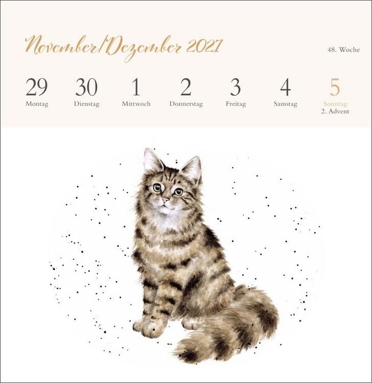 Produktbild: Hannah Dale: Happy Animals Premium-Postkartenkalender 2027