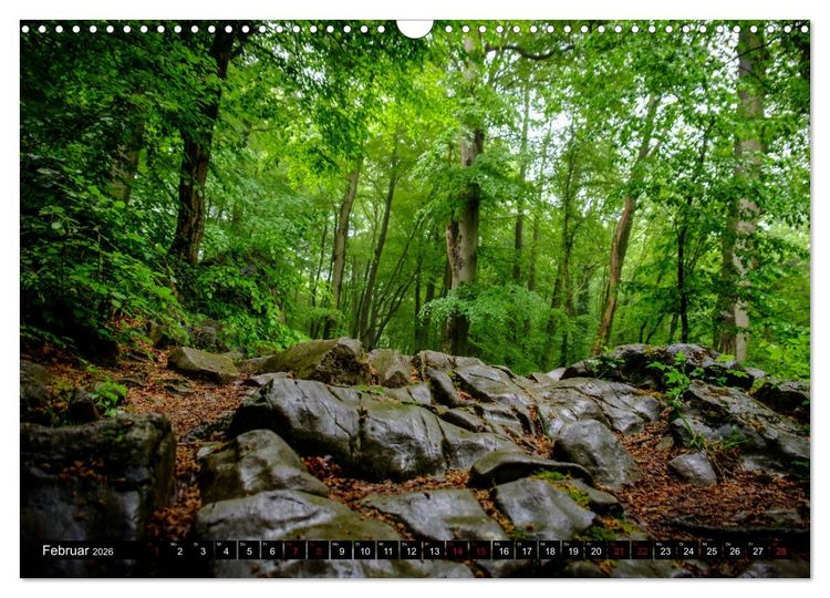 Produktbild: Wege des einfachen Gl&uuml;cks - Spazierg&auml;nge im Wald (Wandkalender 2026 DIN A3 quer), CALVENDO Monatskalender
