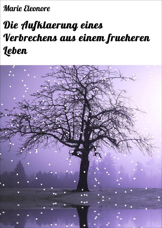 Produktbild: Die Aufklaerung eines Verbrechens aus einem frueheren Leben