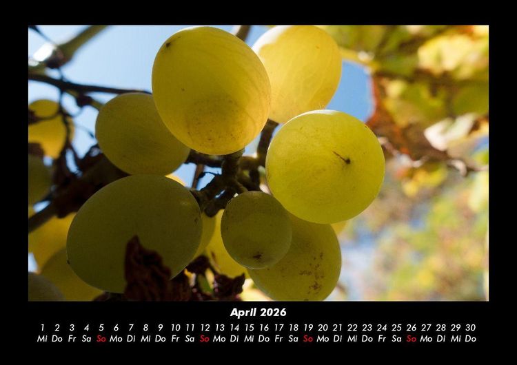 Produktbild: Obstkalender 2026 Fotokalender DIN A3