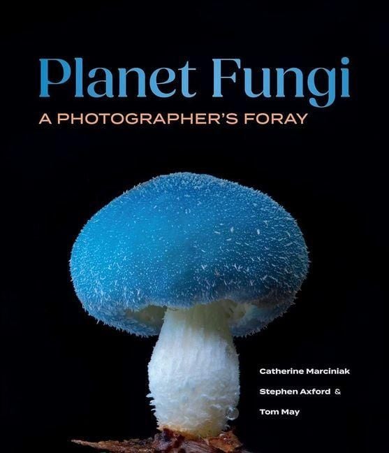 Produktbild: Planet Fungi