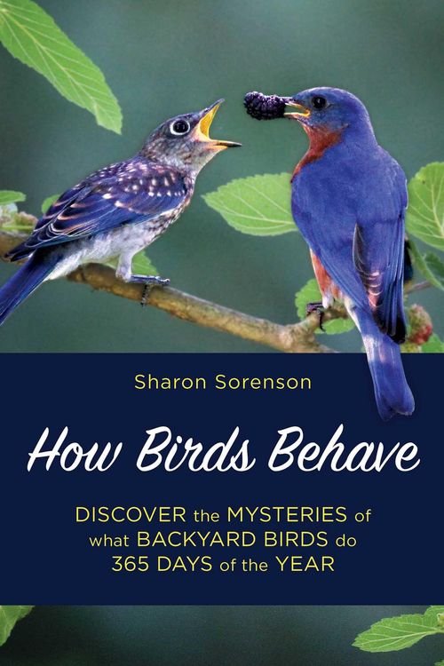 Produktbild: How Birds Behave