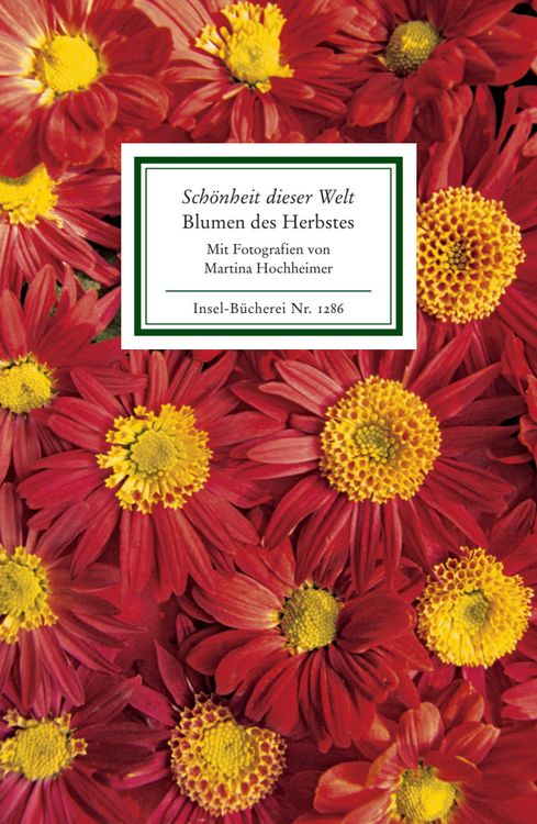 Produktbild: &raquo;Sch&ouml;nheit dieser Welt&laquo;. Blumen des Herbstes