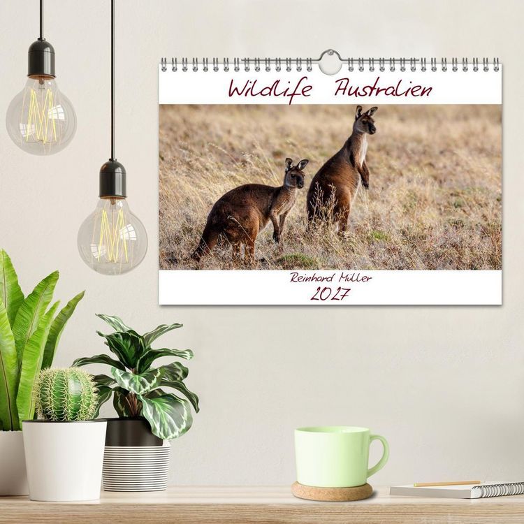 Produktbild: Wildlife Australien (Wandkalender 2027 DIN A4 quer), CALVENDO Monatskalender