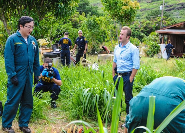 Hawaii Five-0 - Season 5 [6 DVDs]