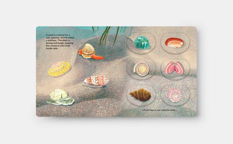 Produktbild: Shells... and what they hide inside