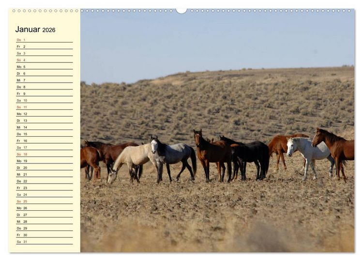 Produktbild: Wilde Pferde. Mustangs in USA (Wandkalender 2026 DIN A2 quer), CALVENDO Monatskalender
