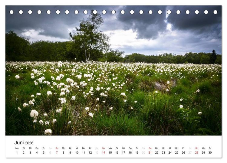 Produktbild: Naturerlebnis im Biosph&auml;renreservat Rh&ouml;n (Tischkalender 2026 DIN A5 quer), CALVENDO Monatskalender