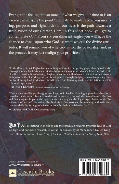 Produktbild: The Beauty of God