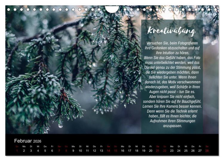 Produktbild: Die Sch&ouml;nheit der Natur - Naturfotografie-Kalender mit Foto- und Kreativ&uuml;bungen (Wandkalender 2026 DIN A4 quer), CALVENDO Monatskalender