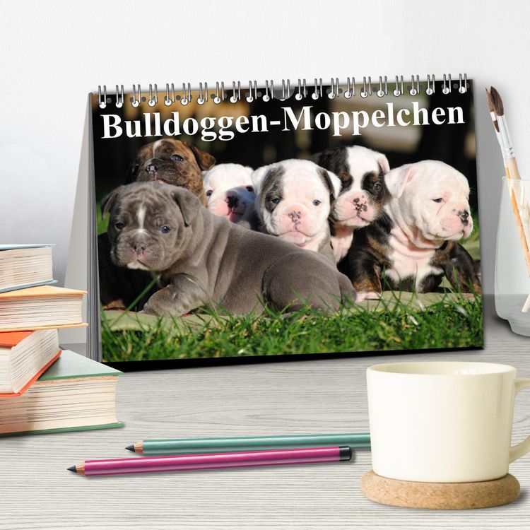 Produktbild: Bulldoggen-Moppelchen (Tischkalender 2026 DIN A5 quer), CALVENDO Monatskalender