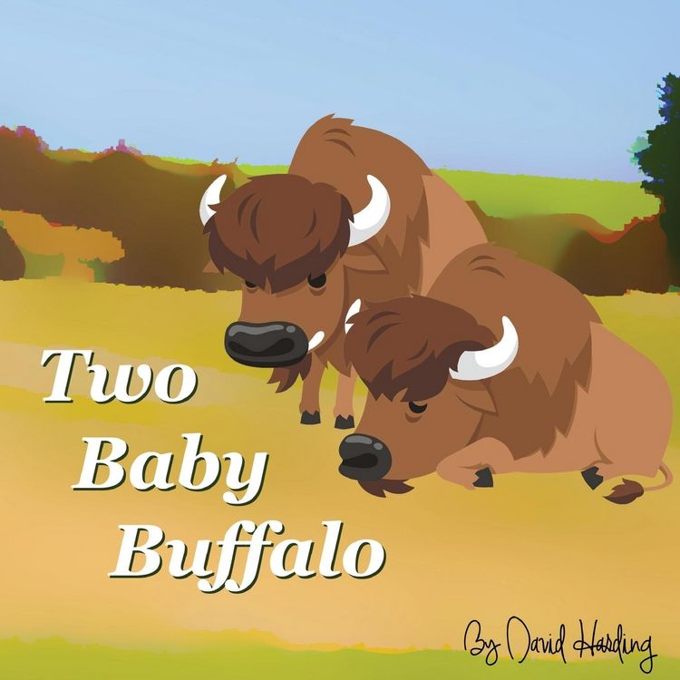 Produktbild: Two Baby Buffalo
