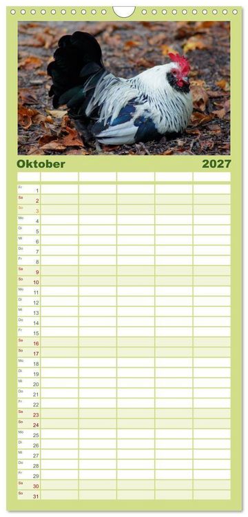 Produktbild: Familienplaner 2027 - Die Welt der H&uuml;hner mit 5 Spalten (Wandkalender, 21 x 45 cm) CALVENDO