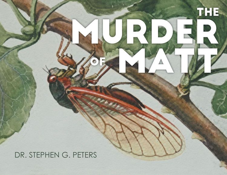 Produktbild: The Murder of Matt