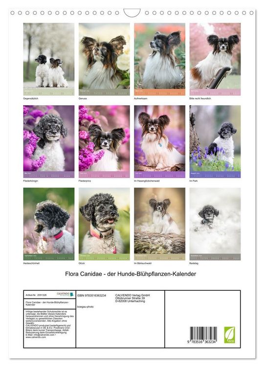 Produktbild: Flora Canidae - der Hunde-Bl&uuml;hpflanzen-Kalender (Wandkalender 2026 DIN A3 hoch), CALVENDO Monatskalender