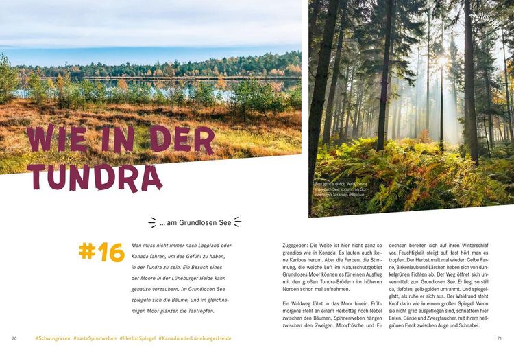 Produktbild: 52 kleine & gro&szlig;e Eskapaden in der L&uuml;neburger Heide
