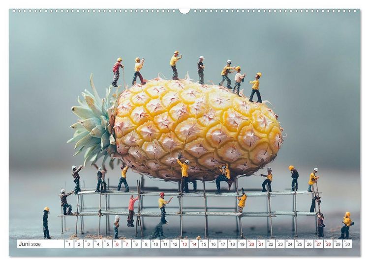 Produktbild: Miniatur-Universum: Ein Jahr in kleinen Welten (hochwertiger Premium Wandkalender 2026 DIN A2 quer), Kunstdruck in Hochglanz