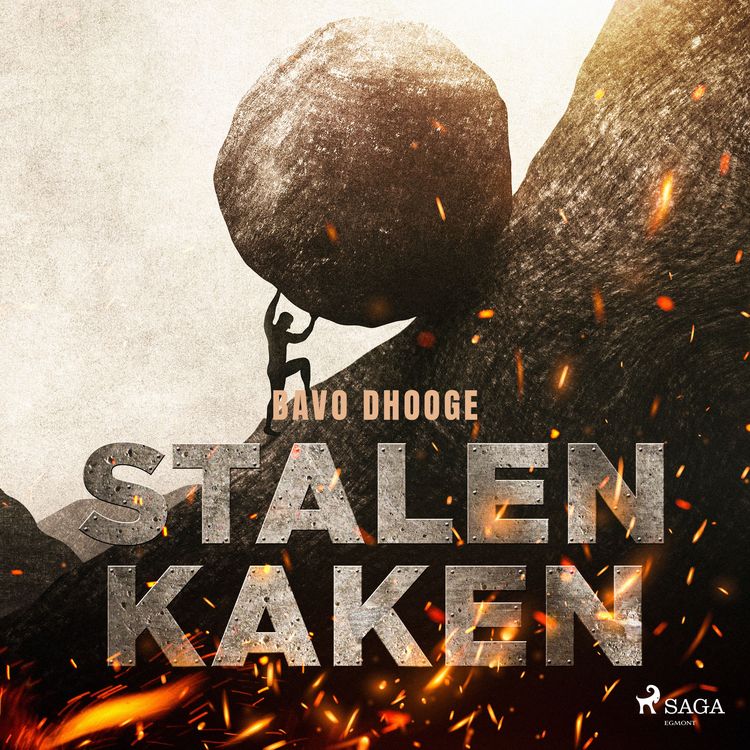 Produktbild: Stalen kaken