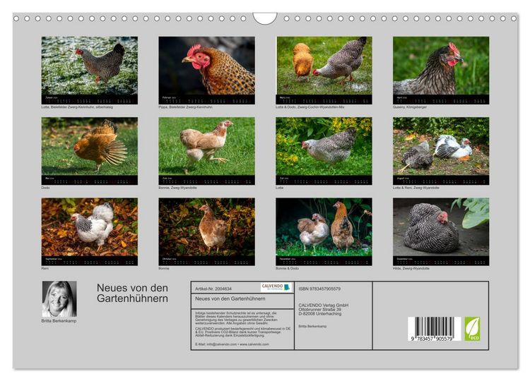 Produktbild: Neues von den Gartenh&uuml;hnern (Wandkalender 2026 DIN A3 quer), CALVENDO Monatskalender