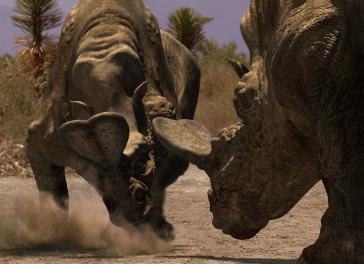 Produktbild: Dinosaurier - Im Reich der Giganten/Neuauflage [5 DVDs]