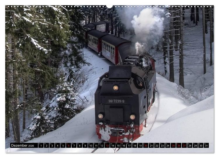 Produktbild: Schmalspurbahnen in Sachsen Anhalt (Wandkalender 2026 DIN A2 quer), CALVENDO Monatskalender