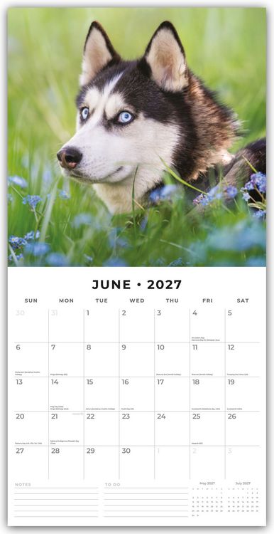 Produktbild: Huskies &ndash; Husky &ndash; Huskys 2027 &ndash; 16-Monatskalender