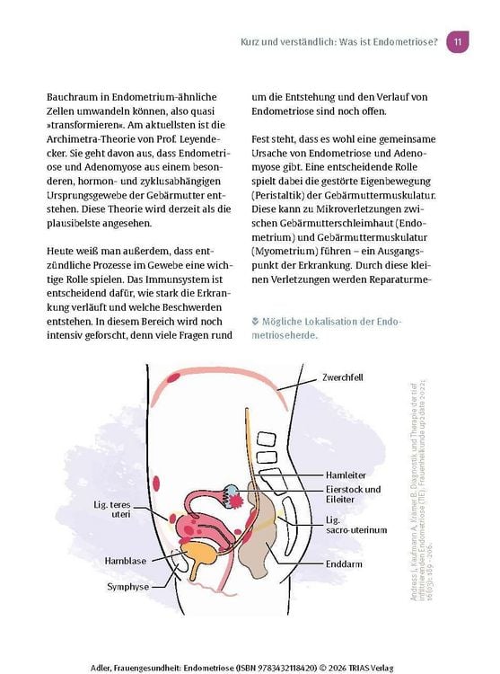 Produktbild: Frauengesundheit: Endometriose