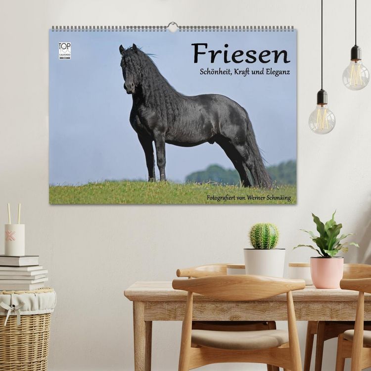 Produktbild: Friesen - Sch&ouml;nheit, Kraft und Eleganz (Wandkalender 2026 DIN A2 quer), CALVENDO Monatskalender
