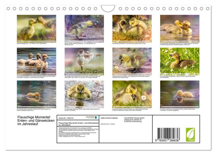 Produktbild: Flauschige Momente! Enten- und G&auml;nsek&uuml;ken im Jahreslauf (Wandkalender 2026 DIN A4 quer), CALVENDO Monatskalender