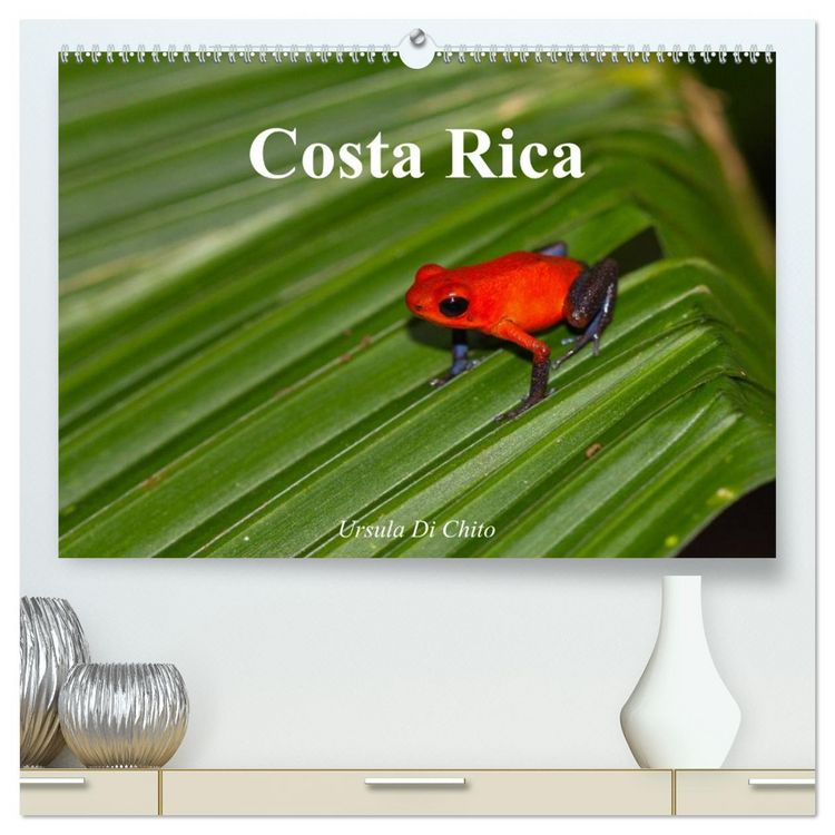 Produktbild: Costa Rica (hochwertiger Premium Wandkalender 2026 DIN A2 quer), Kunstdruck in Hochglanz