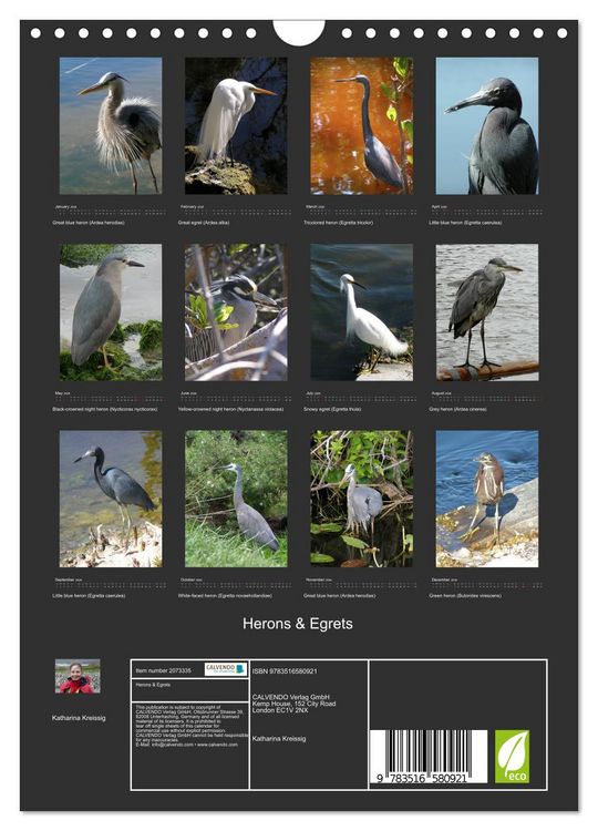 Produktbild: Herons & Egrets (Wall Calendar 2026 DIN A4 portrait), CALVENDO 12 Month Wall Calendar