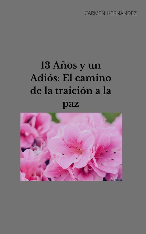 Produktbild: 13 A&ntilde;os y un Adi&oacute;s: El camino de la traici&oacute;n a la paz
