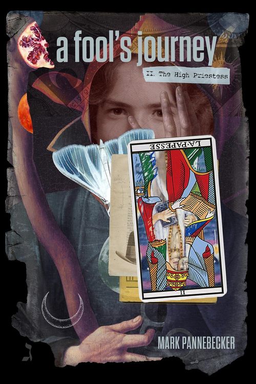 Produktbild: Fool's Journey: Book II, The High Priestess