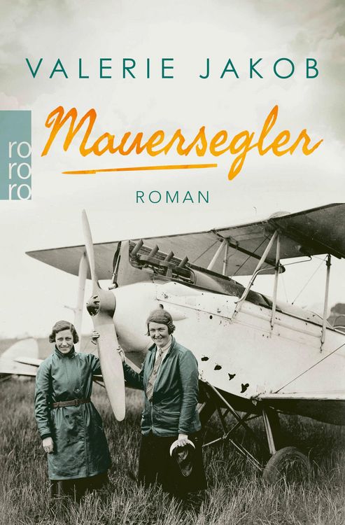 Produktbild: Mauersegler