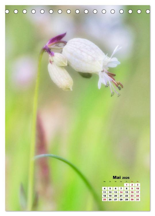 Produktbild: Spa&szlig; mit bunten Bl&uuml;mchen (Tischkalender 2026 DIN A5 hoch), CALVENDO Monatskalender