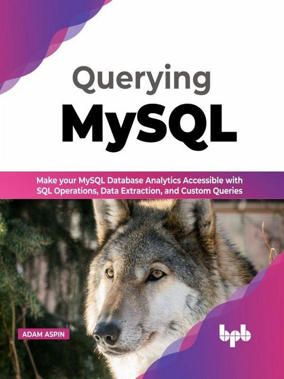 Produktbild: Querying MySQL