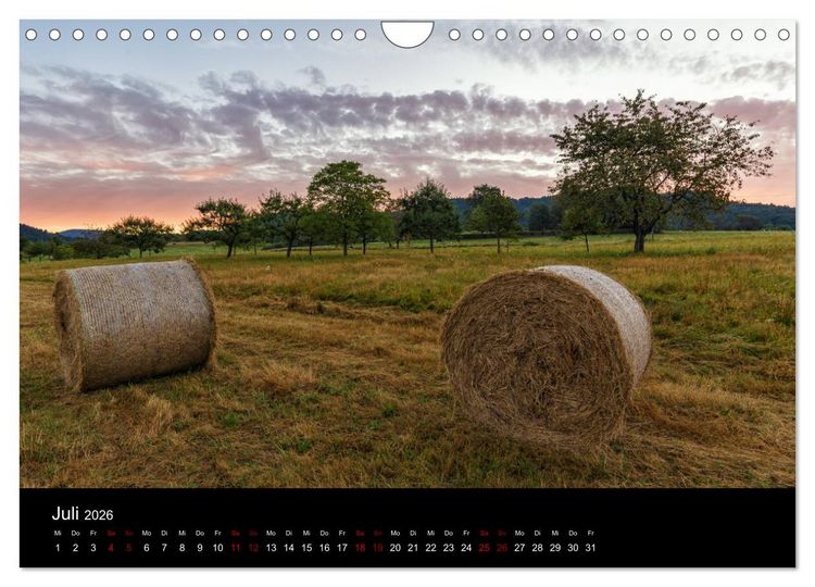Produktbild: Sagenhafter Pf&auml;lzerwald (Wandkalender 2026 DIN A4 quer), CALVENDO Monatskalender