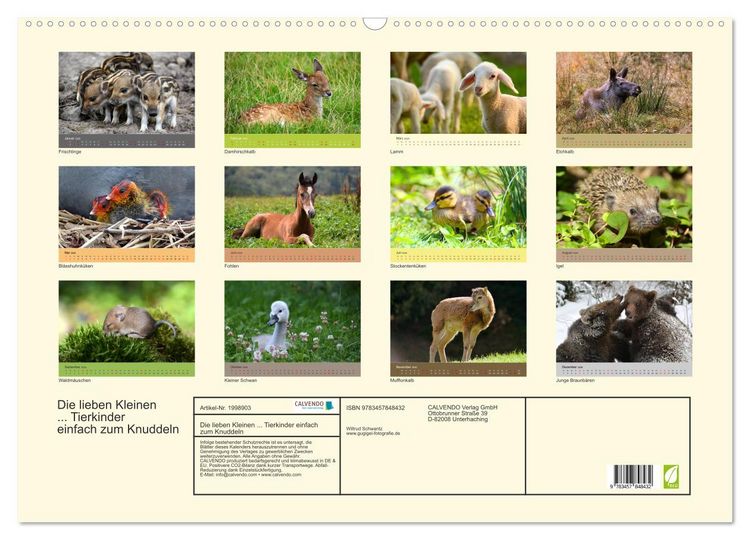 Produktbild: Die lieben Kleinen ... Tierkinder einfach zum Knuddeln (Wandkalender 2026 DIN A2 quer), CALVENDO Monatskalender