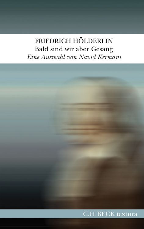 Bild vom Artikel Bald sind wir aber Gesang vom Autor Friedrich Hölderlin
