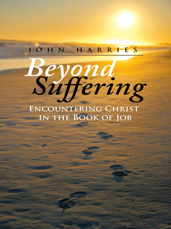 Produktbild: Beyond Suffering